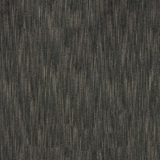 Marceline Pfr (Ri) - Performance - Graphite