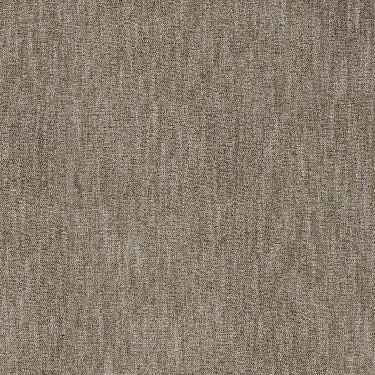 Marceline Pfr (Ri) - Performance - Hazelnut