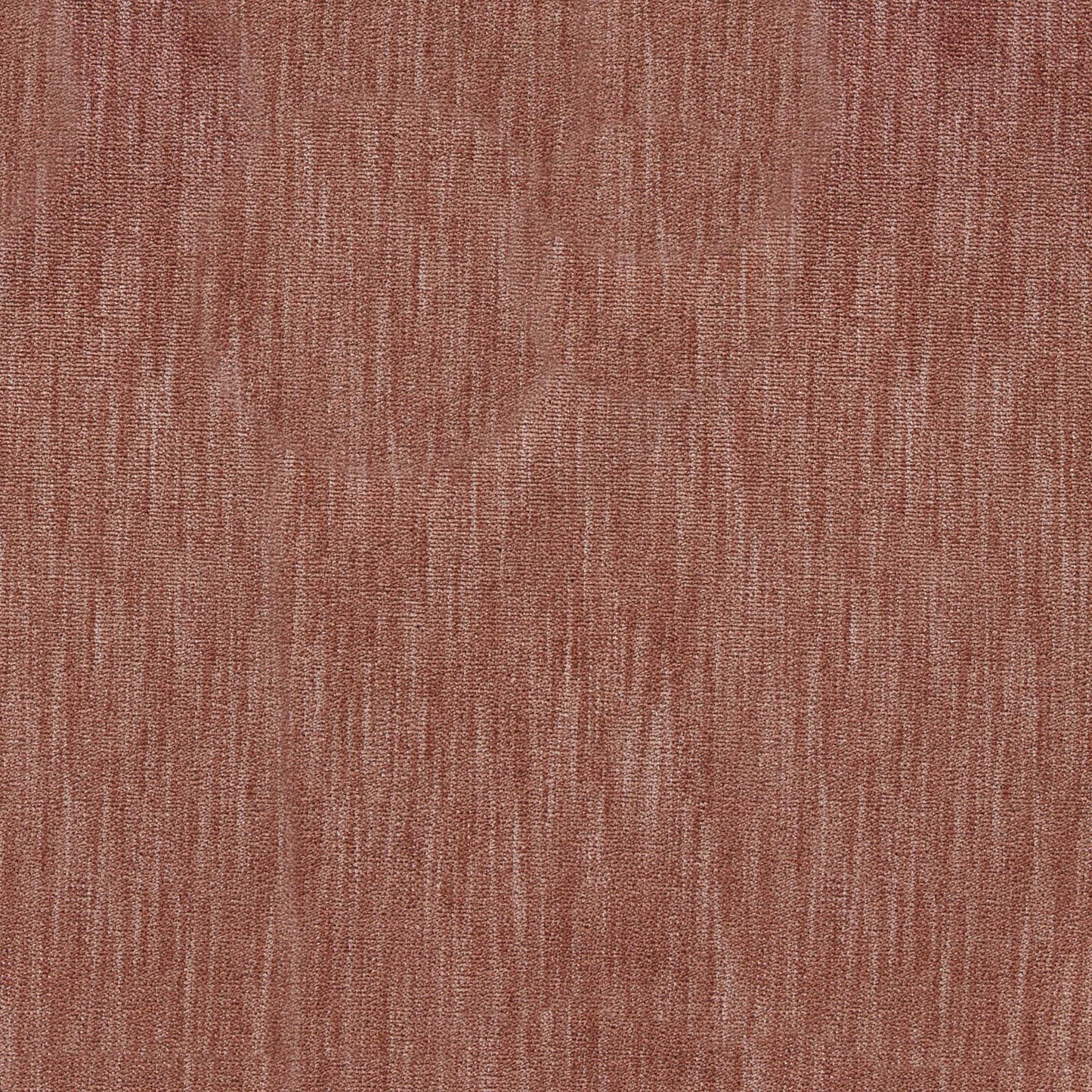 Marceline Pfr (Ri) - Performance - Rosa