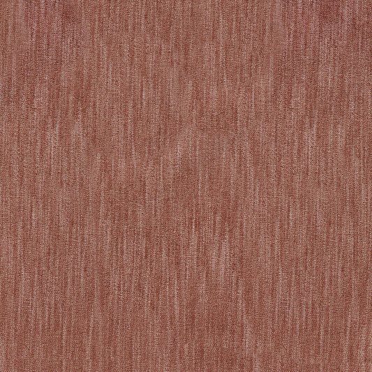 Marceline Pfr (Ri) - Performance - Rosa