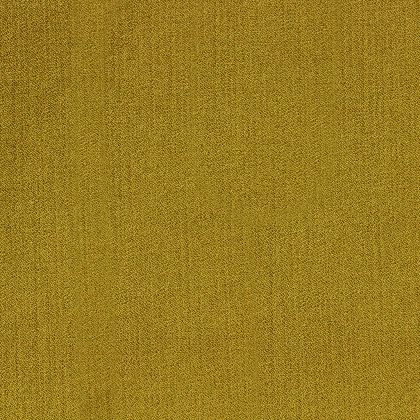 Viviane Pfr (Ri) - Performance - Citronella