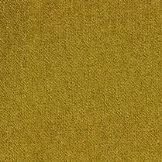 Viviane Pfr (Ri) - Performance - Citronella