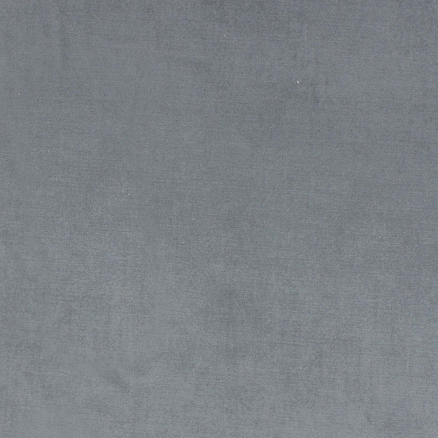 Viviane Pfr (Ri) - Performance - Graphite