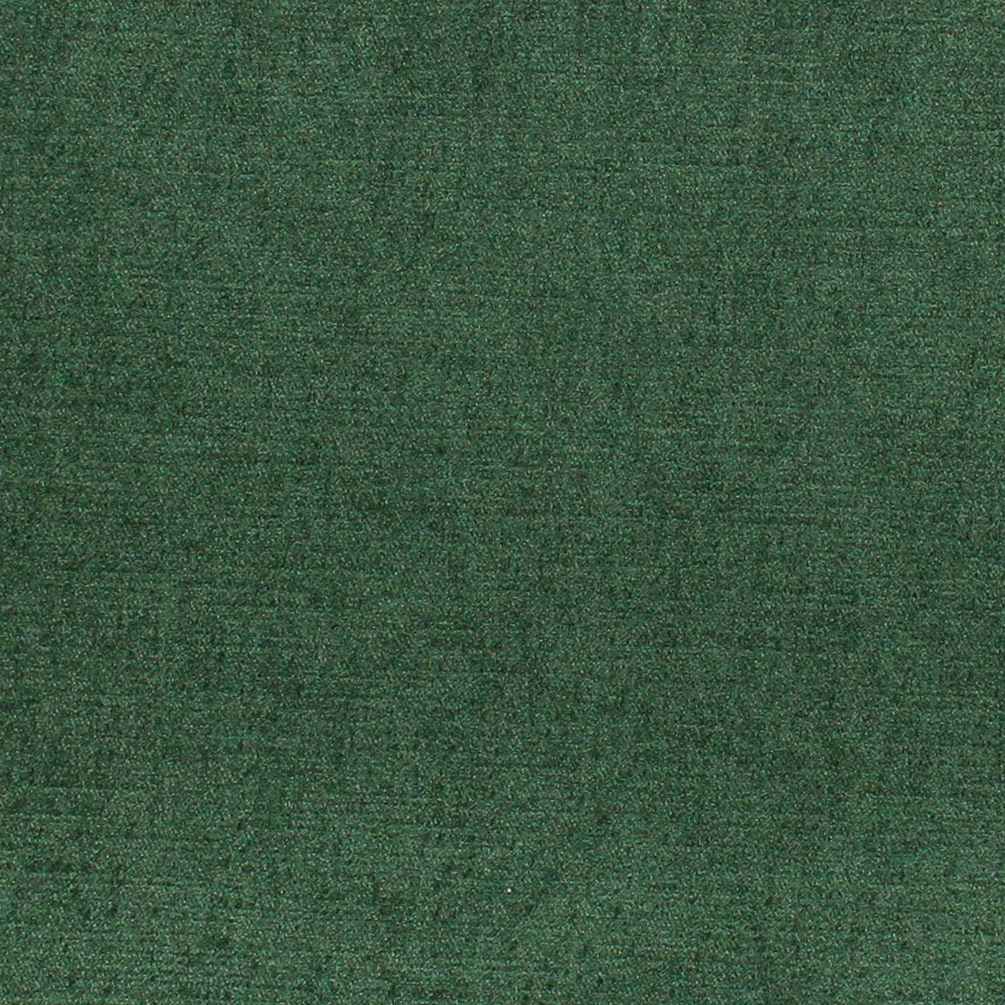 Viviane Pfr (Ri) - Performance - Kale