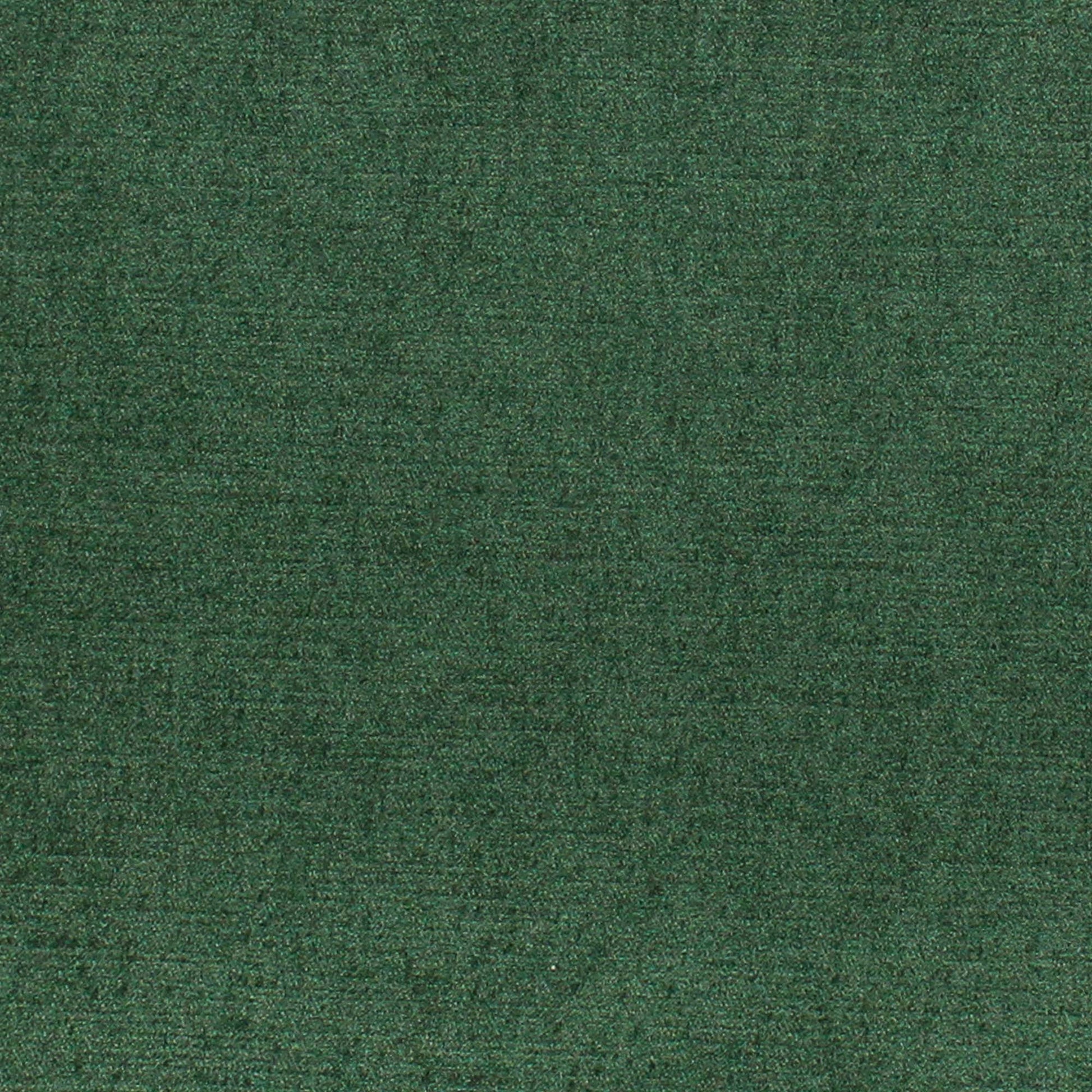 Viviane Pfr (Ri) - Performance - Kale