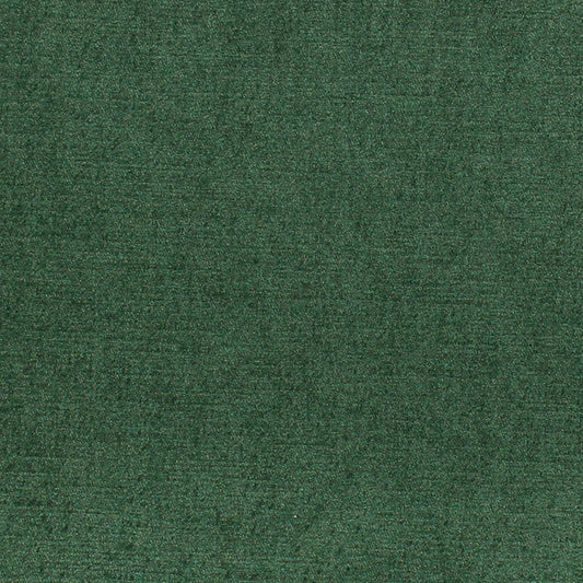 Viviane Pfr (Ri) - Performance - Kale