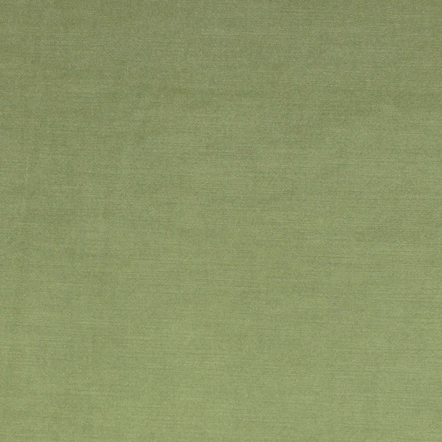 Viviane Pfr (Ri) - Performance - Leaf