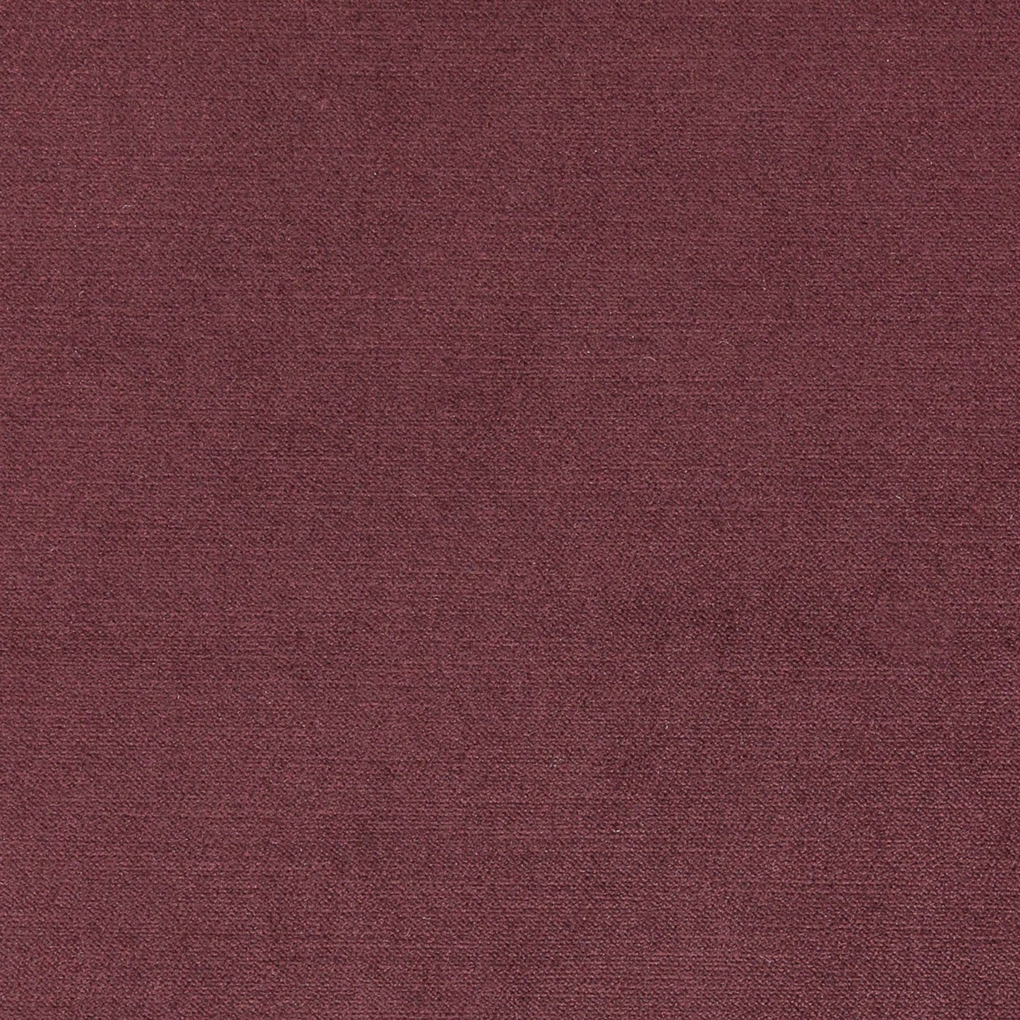 Viviane Pfr (Ri) - Performance - Rumraisin