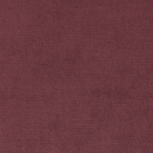 Viviane Pfr (Ri) - Performance - Rumraisin