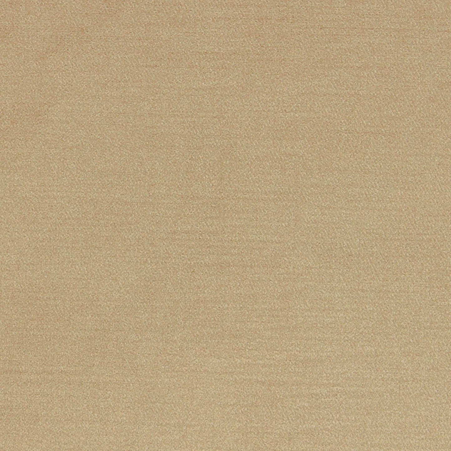 Viviane Pfr (Ri) - Performance - Sand
