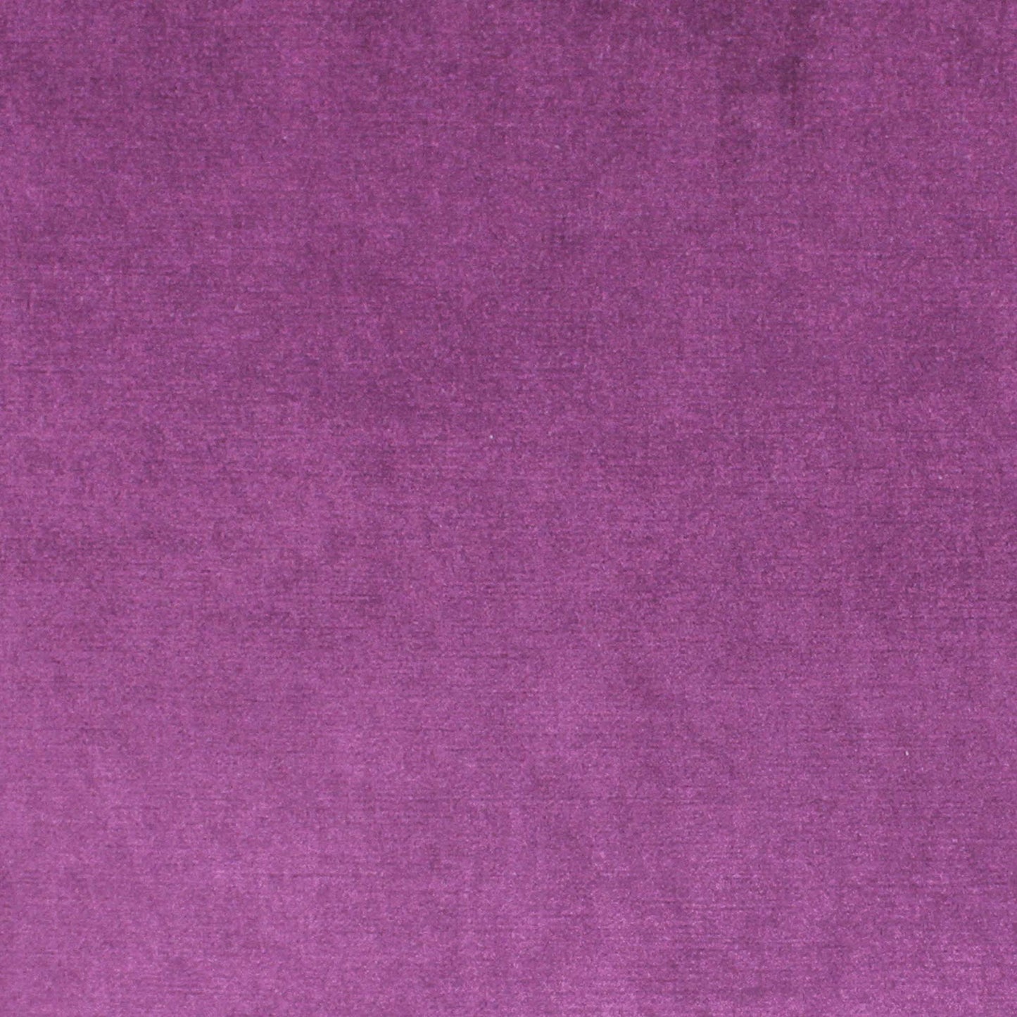 Viviane Pfr (Ri) - Performance - Violet