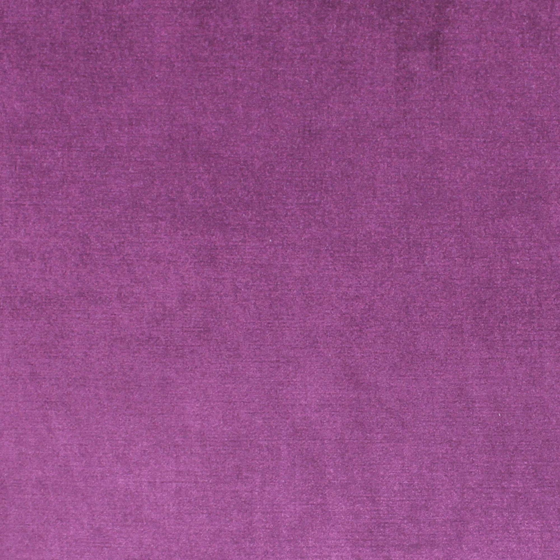 Viviane Pfr (Ri) - Performance - Violet