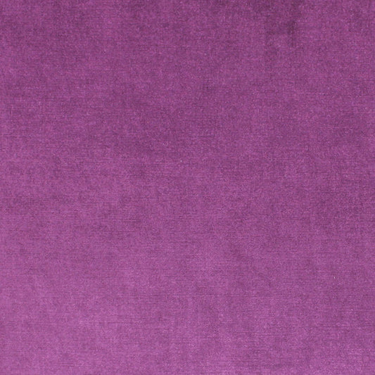 Viviane Pfr (Ri) - Performance - Violet