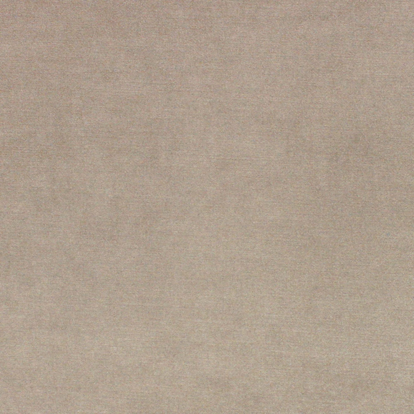 Viviane Pfr (Ri) - Performance - Walnut