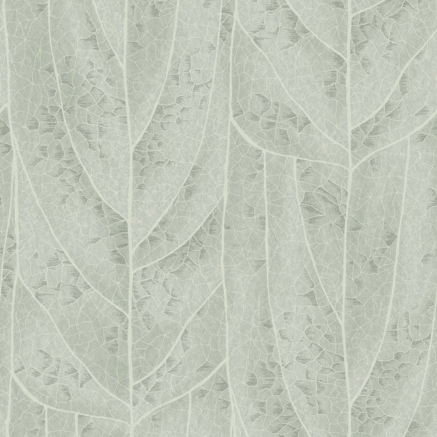 NT6141 -Candice Olson Natural Discovery Wallpaper Dicot