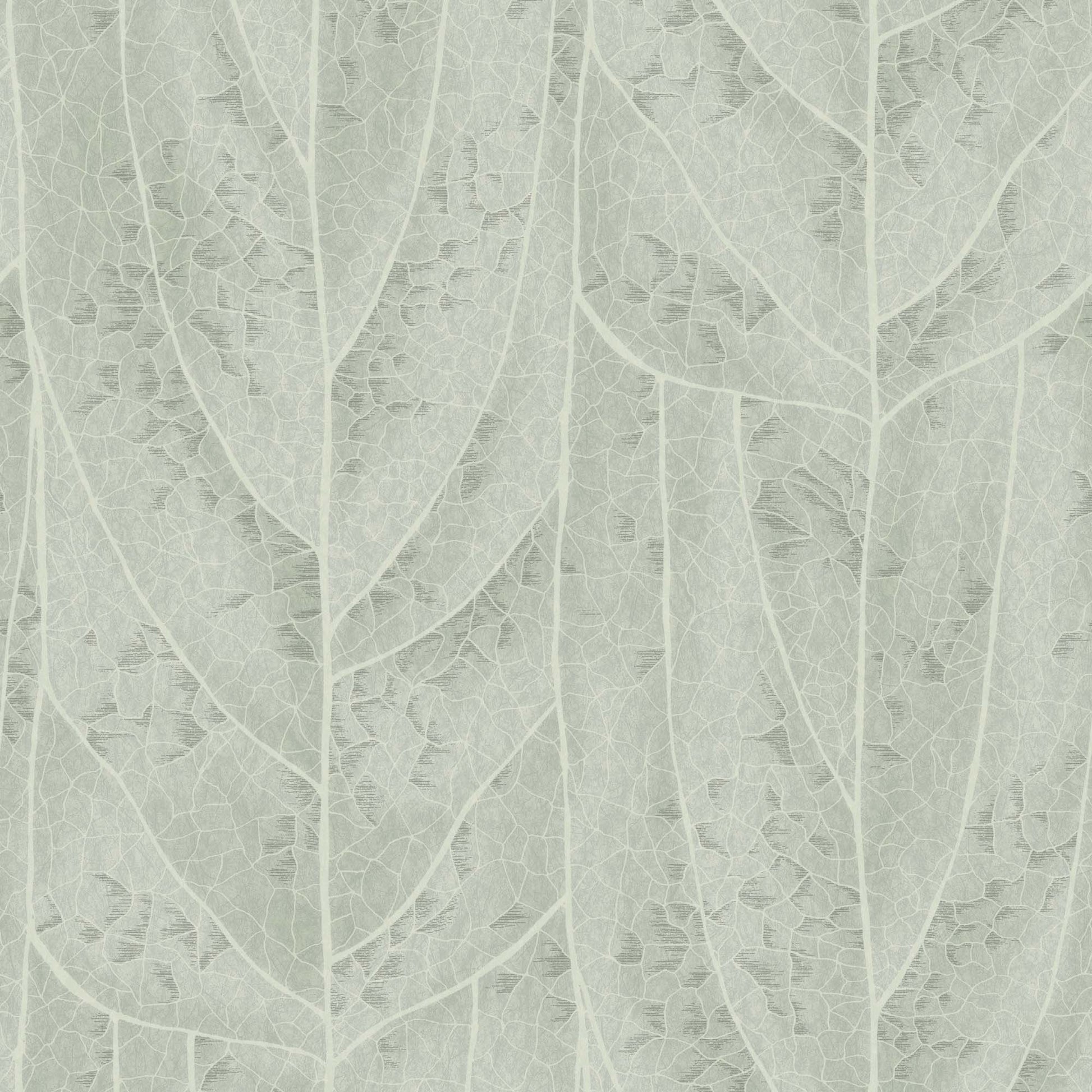 NT6141 -Candice Olson Natural Discovery Wallpaper Dicot
