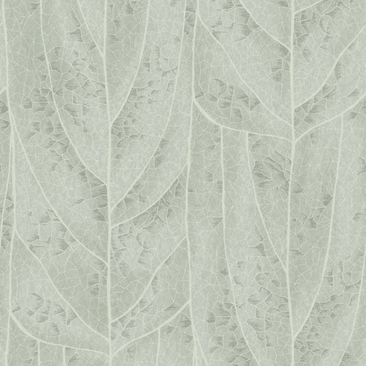 NT6141 -Candice Olson Natural Discovery Wallpaper Dicot