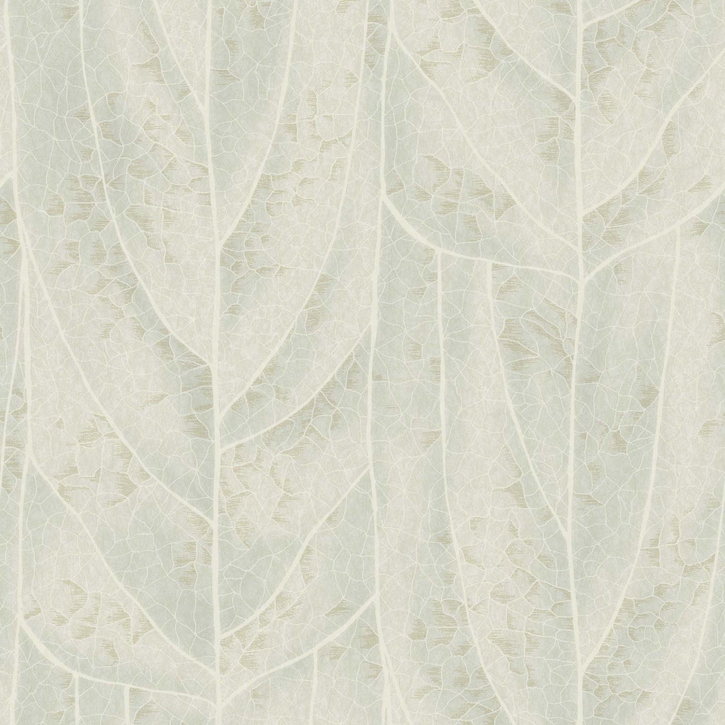 NT6142 -Candice Olson Natural Discovery Wallpaper Dicot