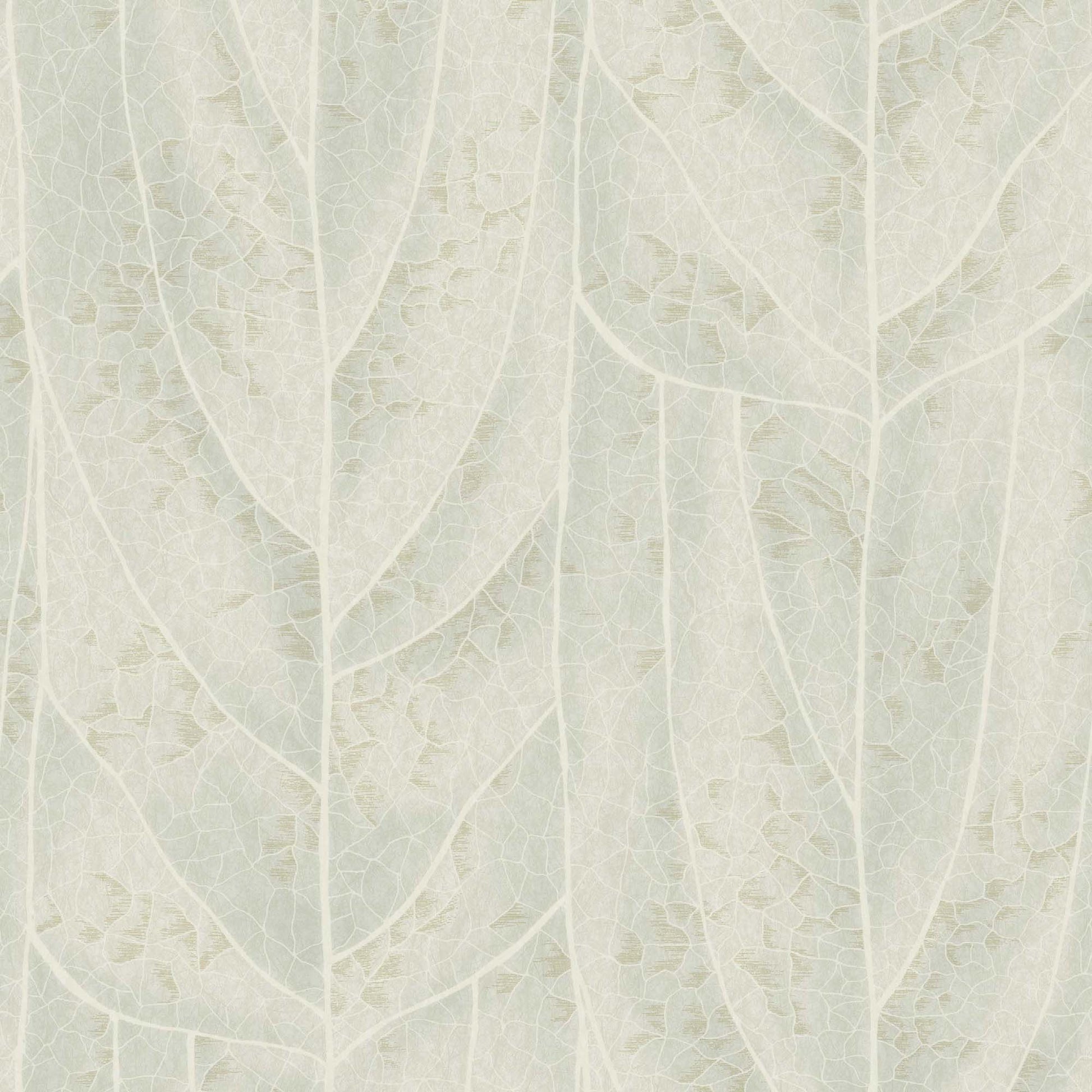 NT6142 -Candice Olson Natural Discovery Wallpaper Dicot