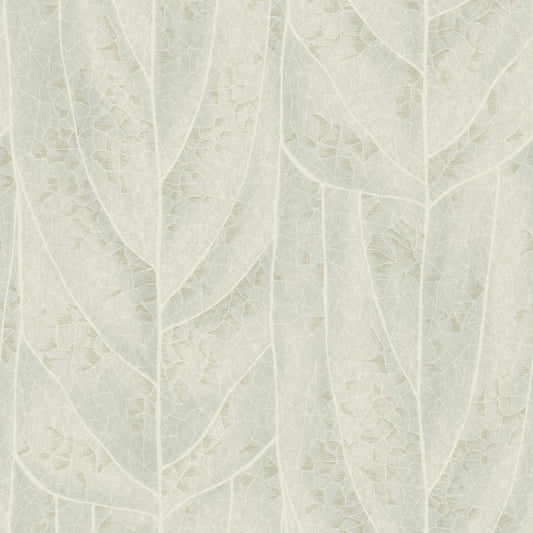 NT6142 -Candice Olson Natural Discovery Wallpaper Dicot
