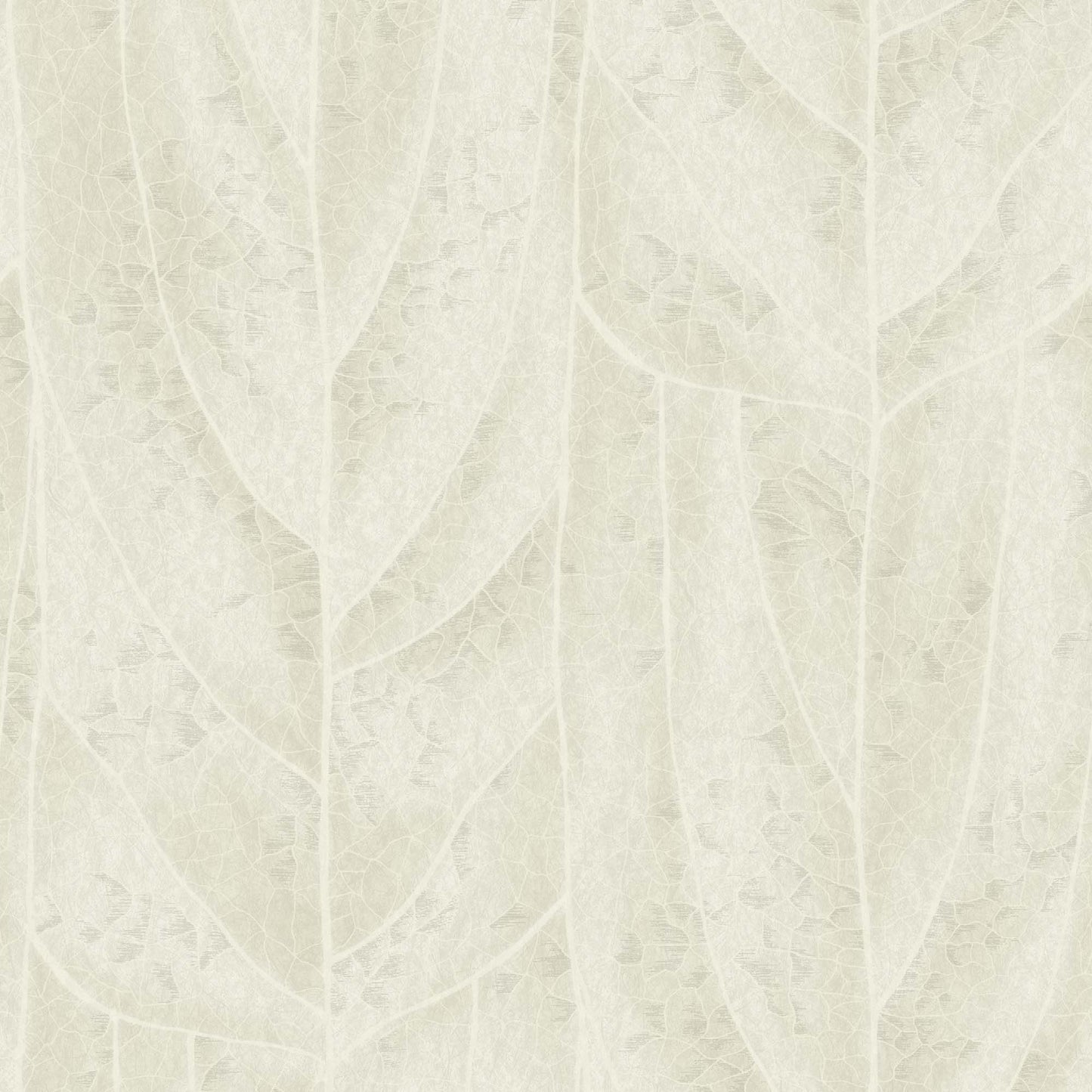 NT6143 -Candice Olson Natural Discovery Wallpaper Dicot