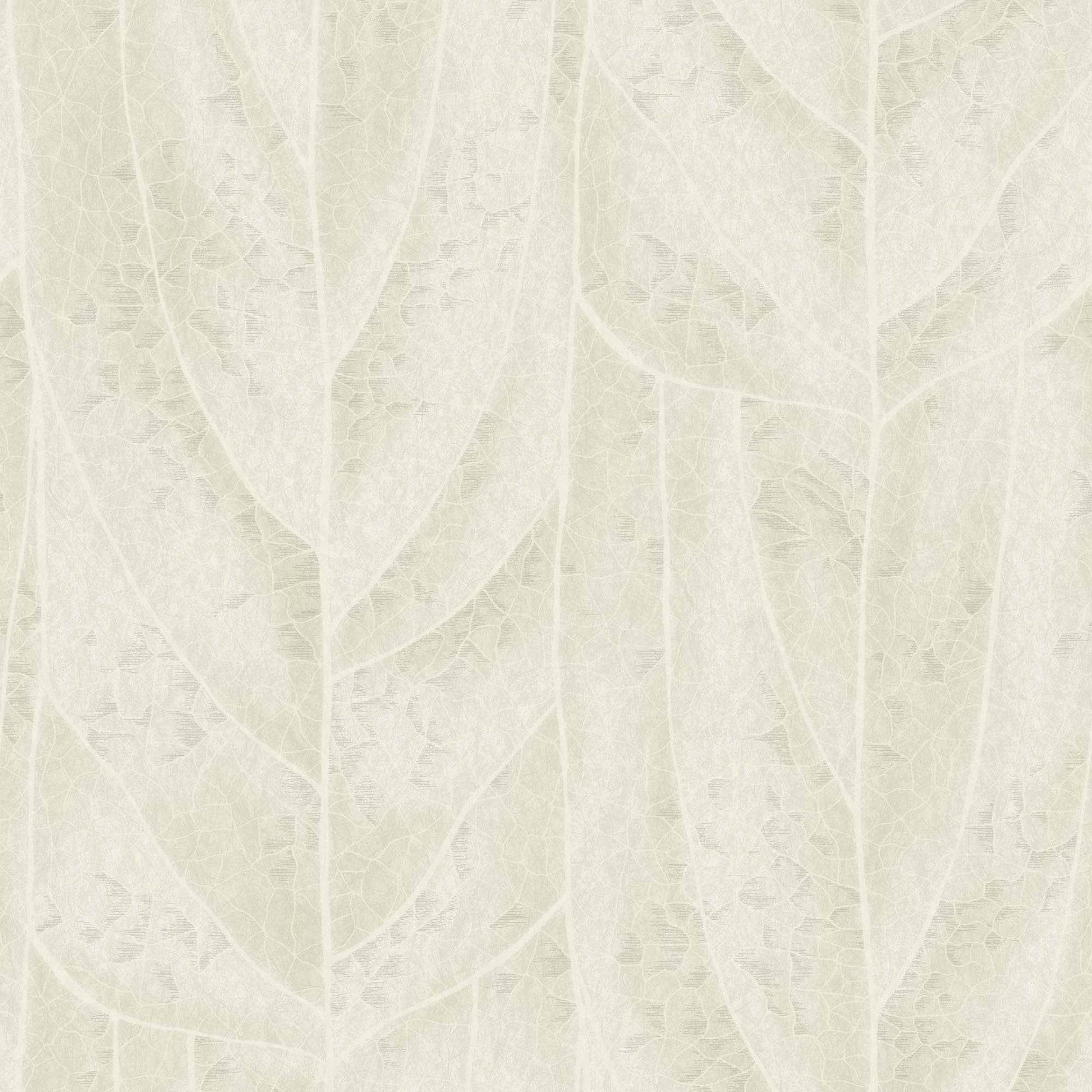 NT6143 -Candice Olson Natural Discovery Wallpaper Dicot