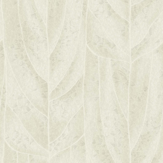 NT6143 -Candice Olson Natural Discovery Wallpaper Dicot