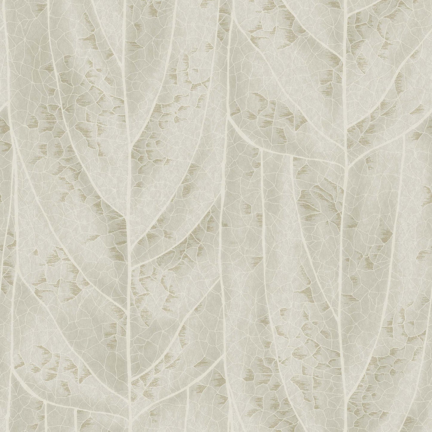 NT6144 -Candice Olson Natural Discovery Wallpaper Dicot