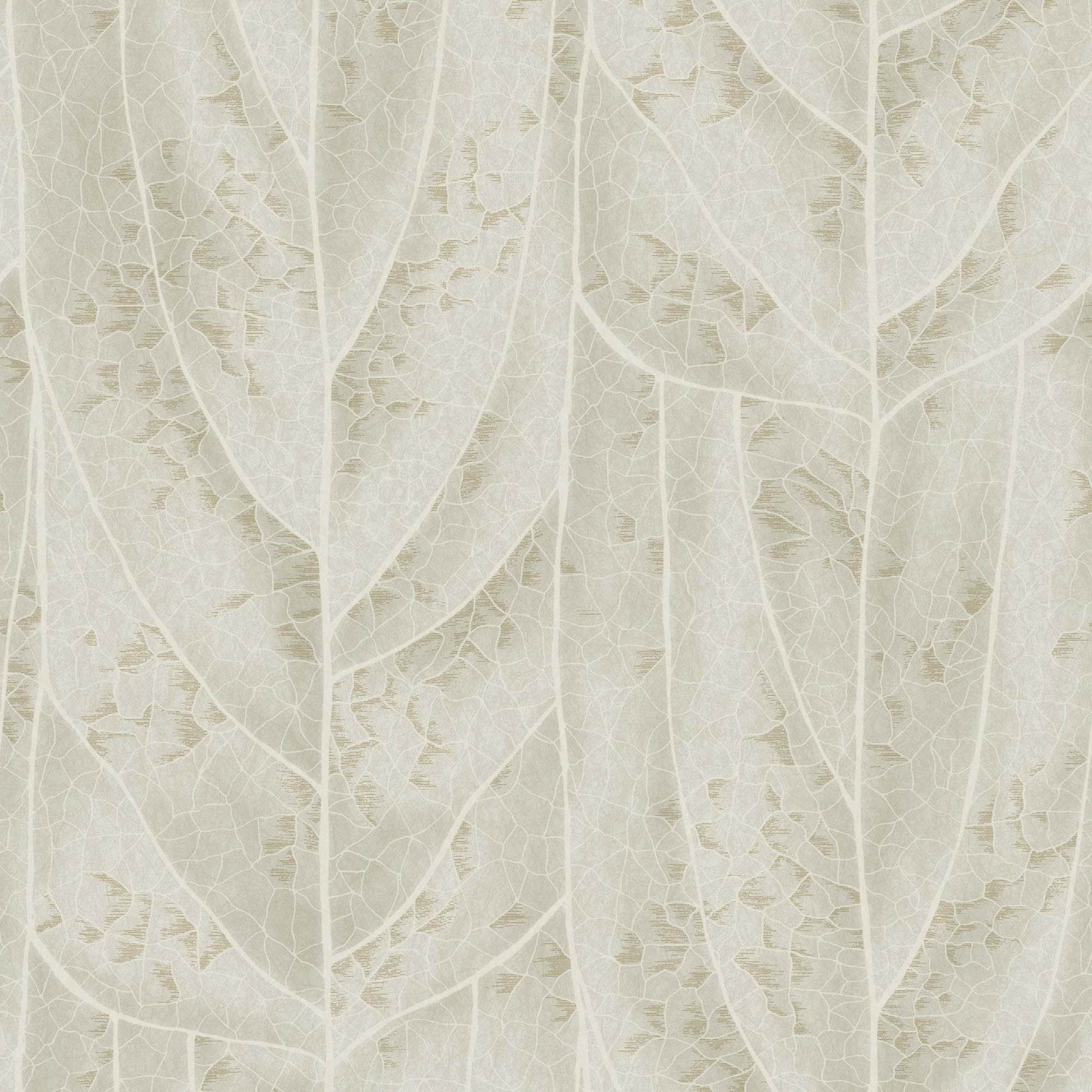 NT6144 -Candice Olson Natural Discovery Wallpaper Dicot