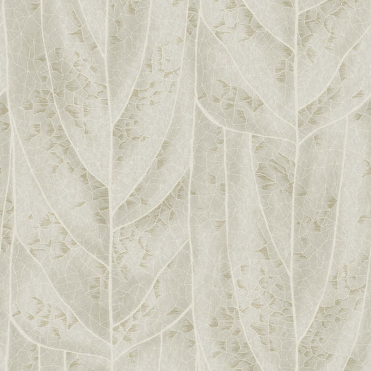 NT6144 -Candice Olson Natural Discovery Wallpaper Dicot
