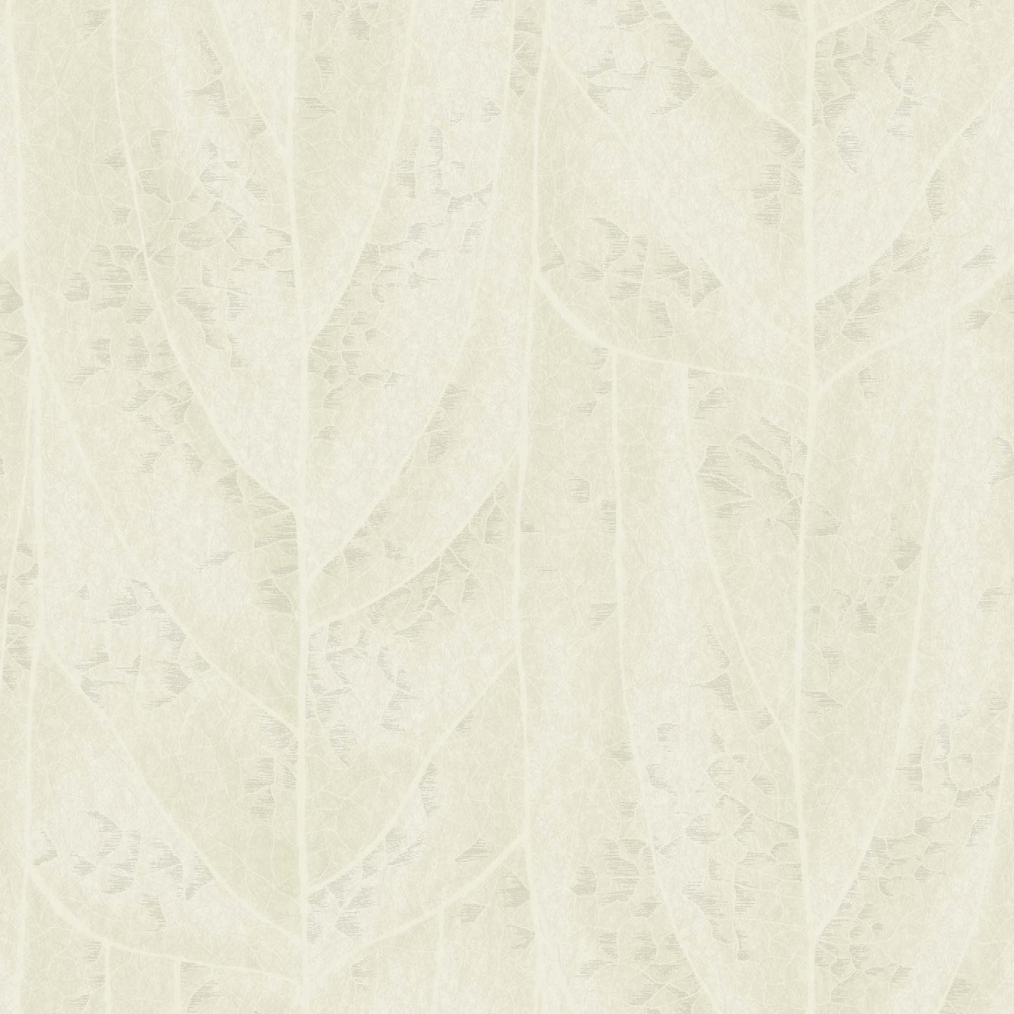 NT6145 -Candice Olson Natural Discovery Wallpaper Dicot