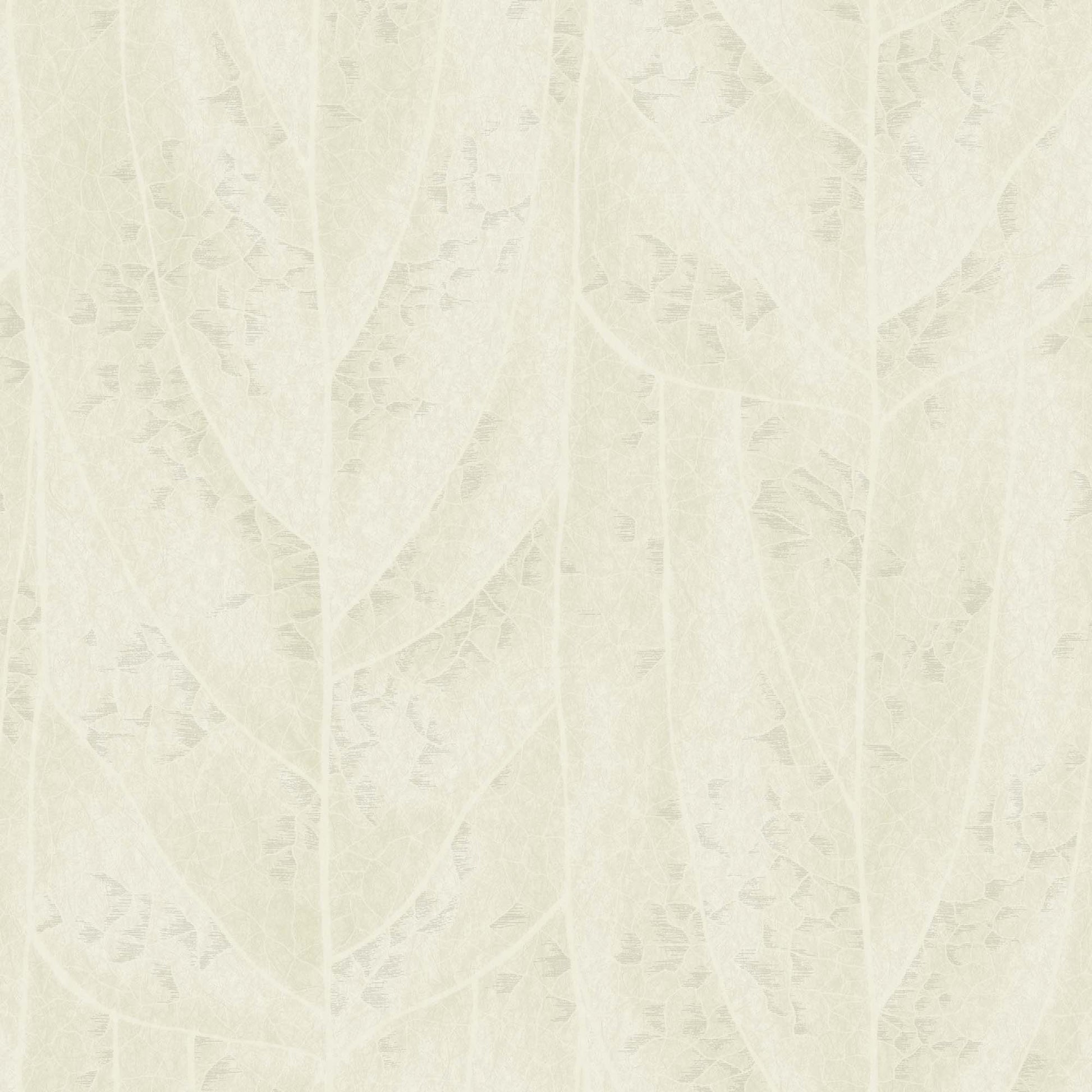 NT6145 -Candice Olson Natural Discovery Wallpaper Dicot