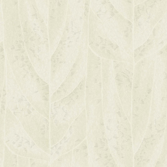 NT6145 -Candice Olson Natural Discovery Wallpaper Dicot