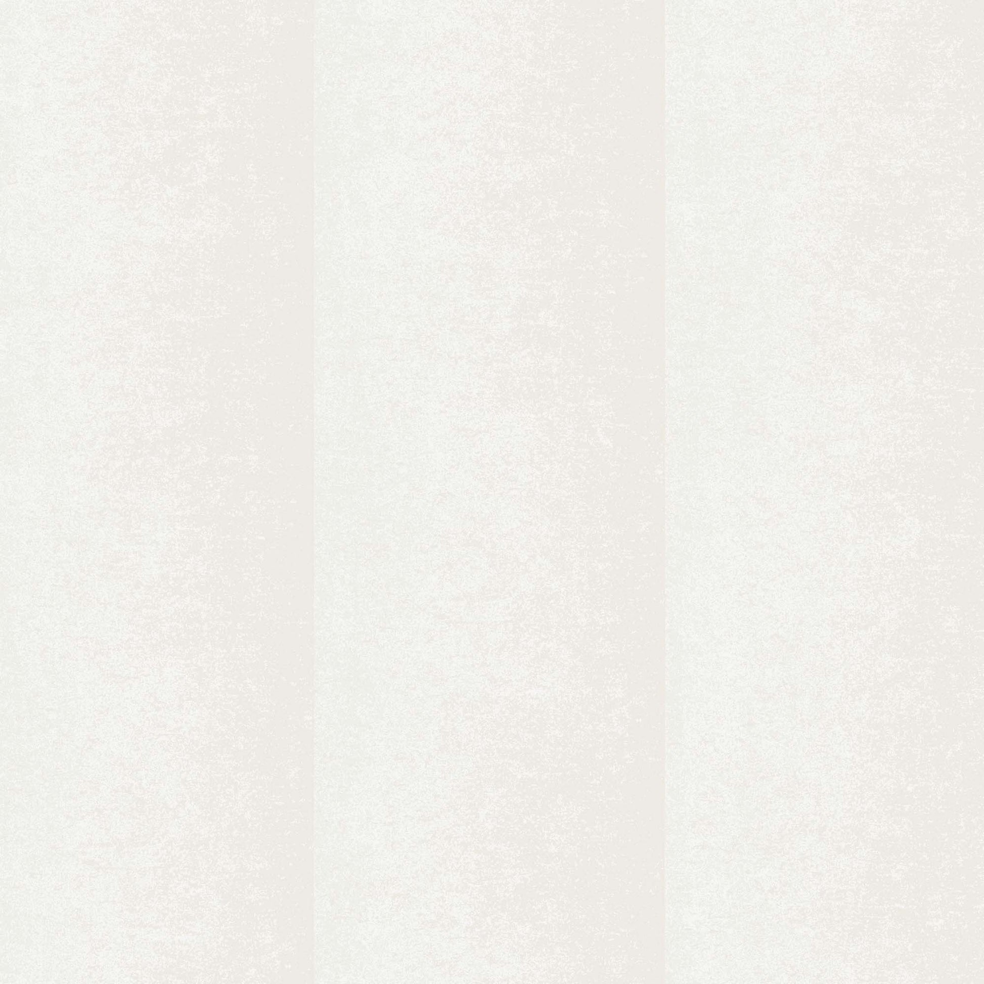 NT6165 -Candice Olson Natural Discovery Wallpaper Particle