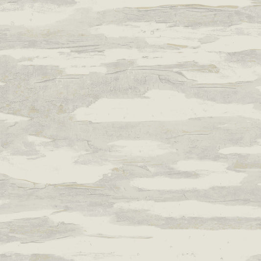 NT6175 -Candice Olson Natural Discovery Wallpaper Artistic
