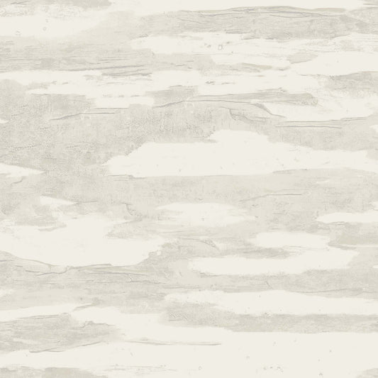 NT6176 -Candice Olson Natural Discovery Wallpaper Artistic