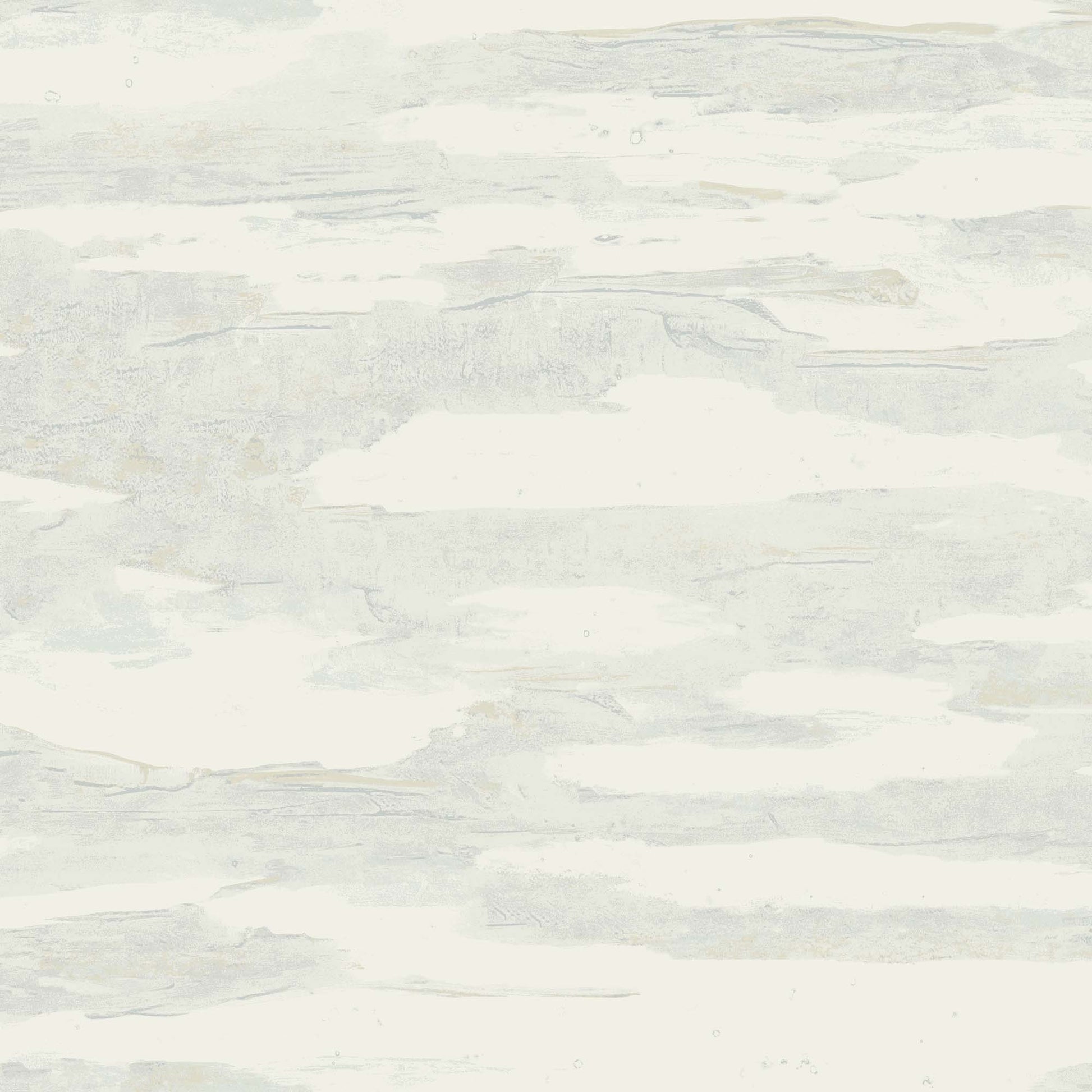 NT6177 -Candice Olson Natural Discovery Wallpaper Artistic
