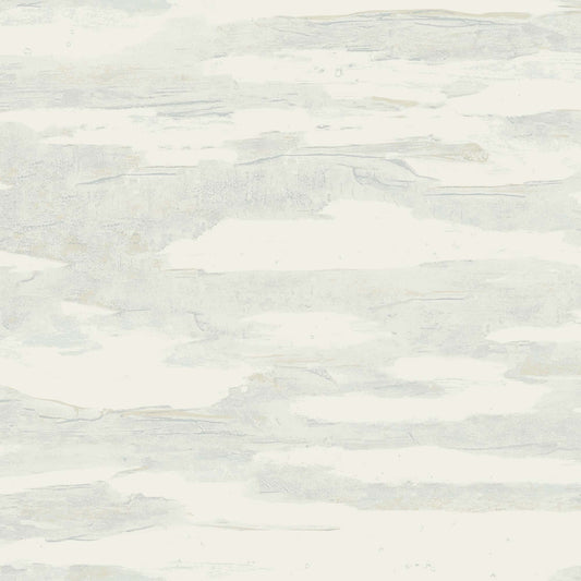 NT6177 -Candice Olson Natural Discovery Wallpaper Artistic