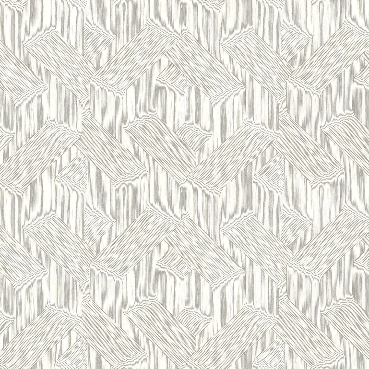 NT6193 -Candice Olson Natural Discovery Wallpaper Fine Line