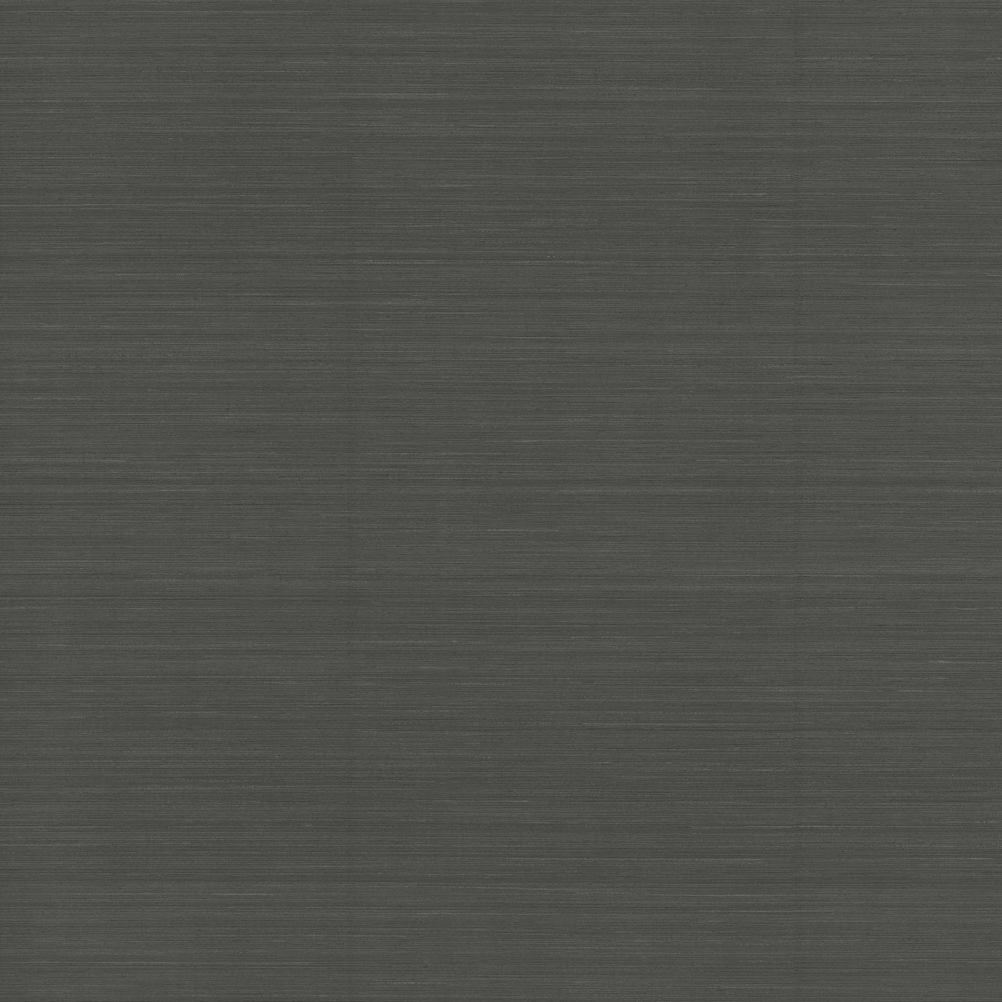 NT6203N -Candice Olson Natural Discovery Wallpaper Quiet Vista