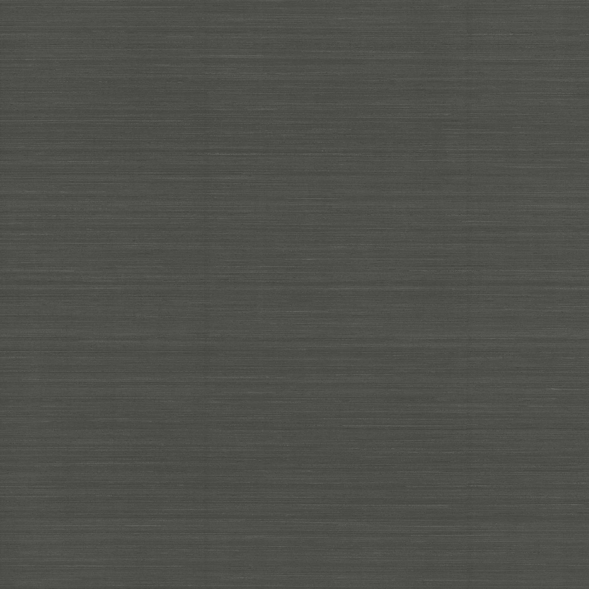NT6203N -Candice Olson Natural Discovery Wallpaper Quiet Vista