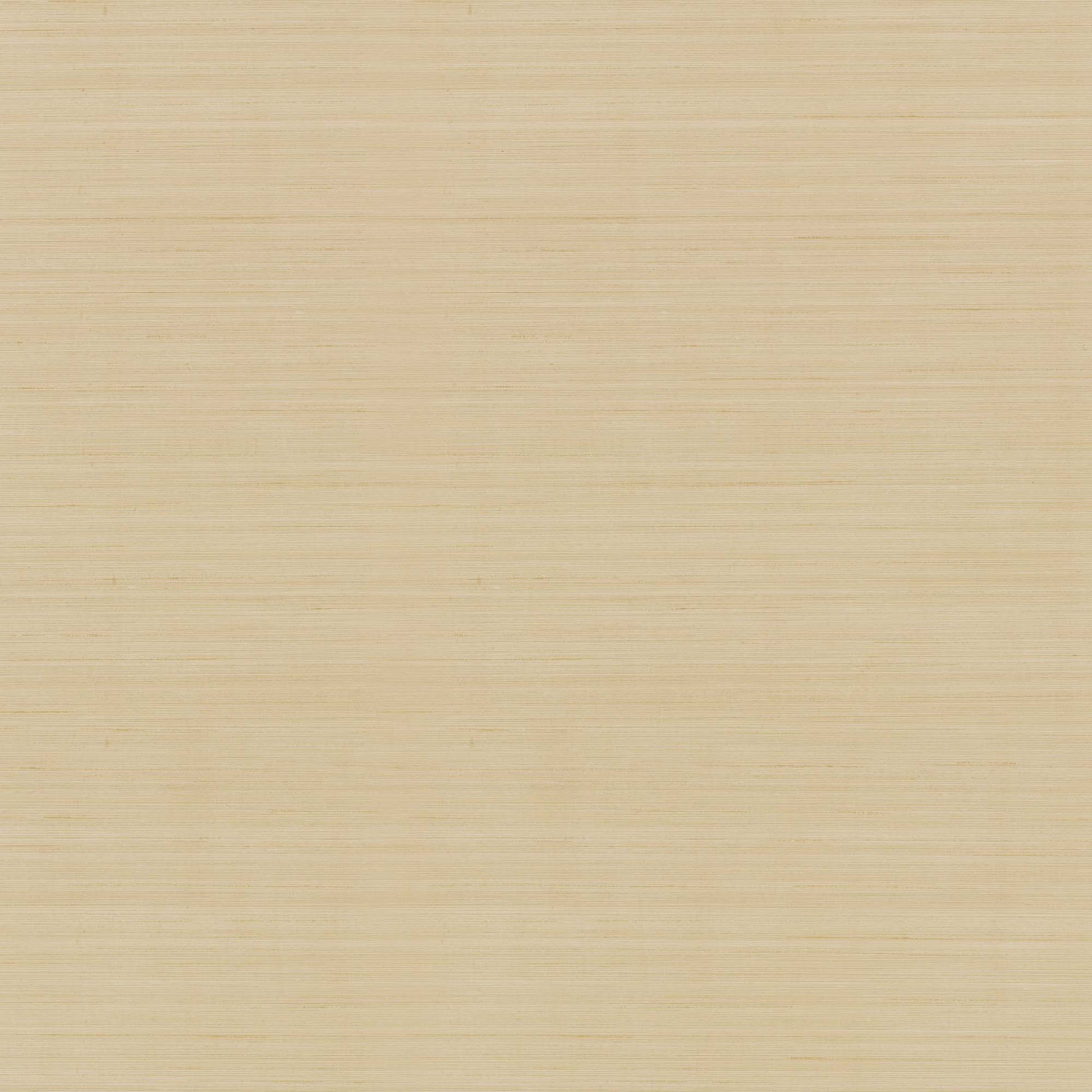 NT6209N -Candice Olson Natural Discovery Wallpaper Quiet Vista