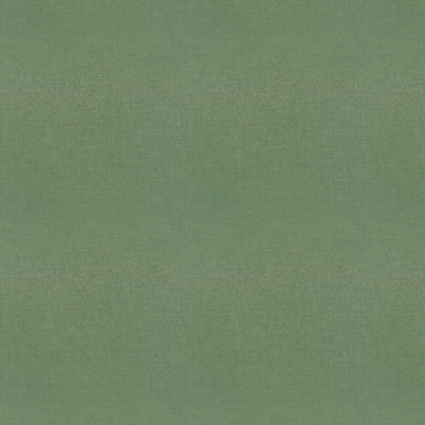 Studio Velvet (Fc) - Evergreen