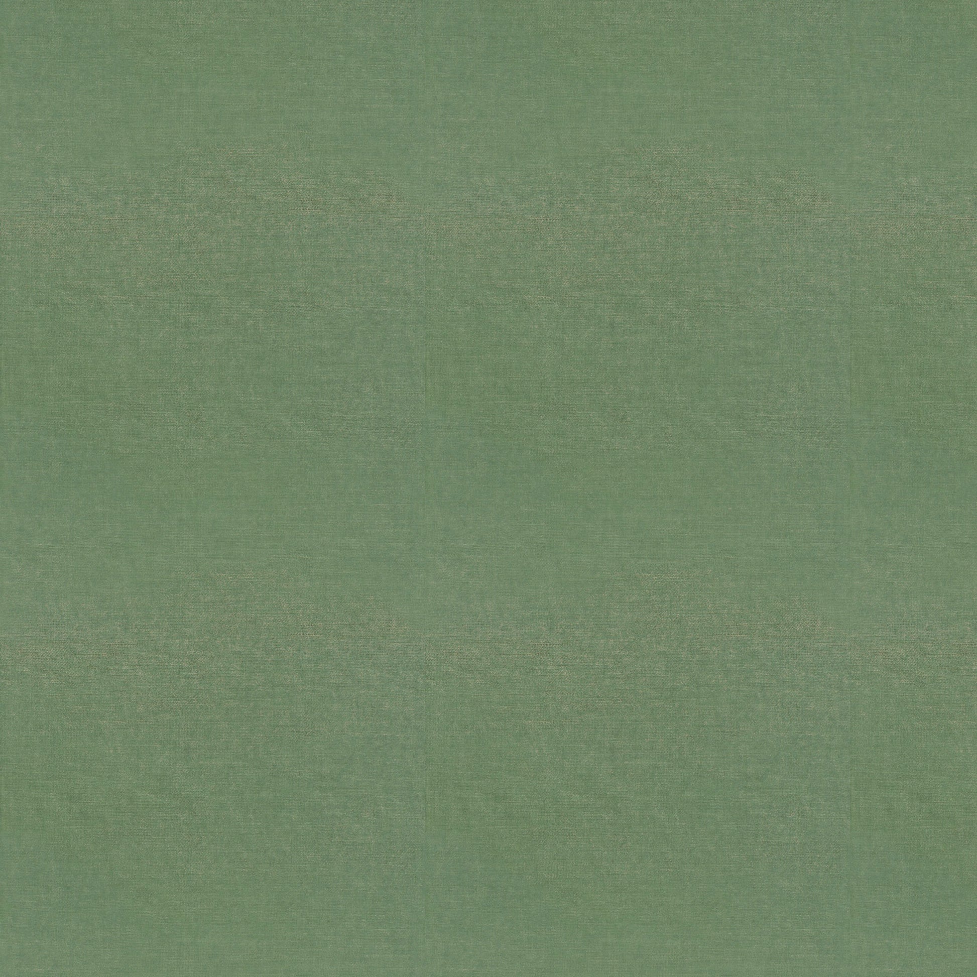 Studio Velvet (Fc) - Evergreen