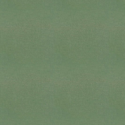 Studio Velvet (Fc) - Evergreen
