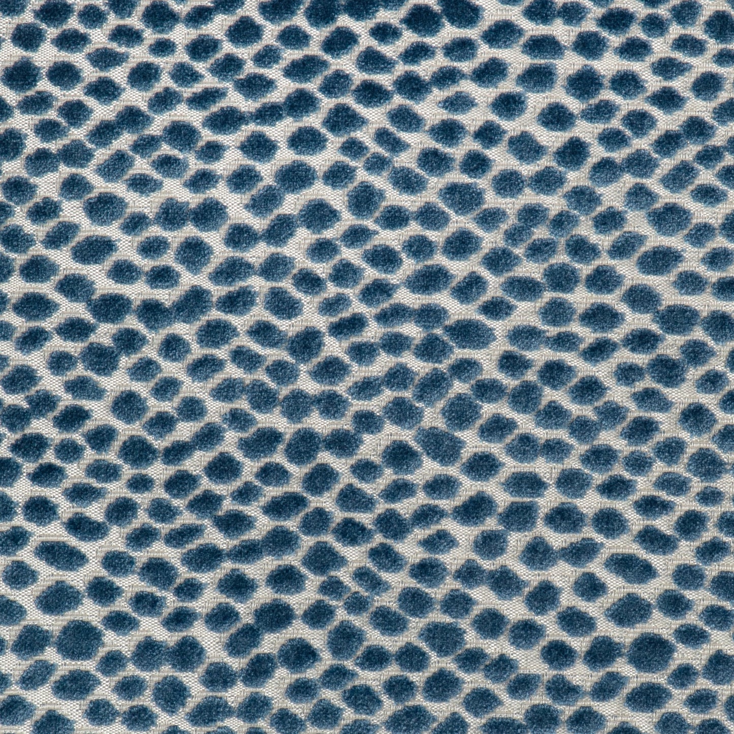 Seulement (Kc) - 51 Ocean