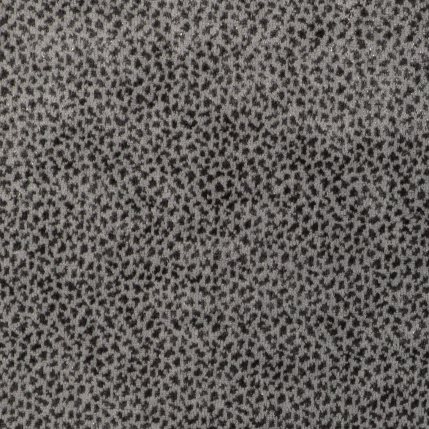 Ayers (Kc) - 11 Nickel