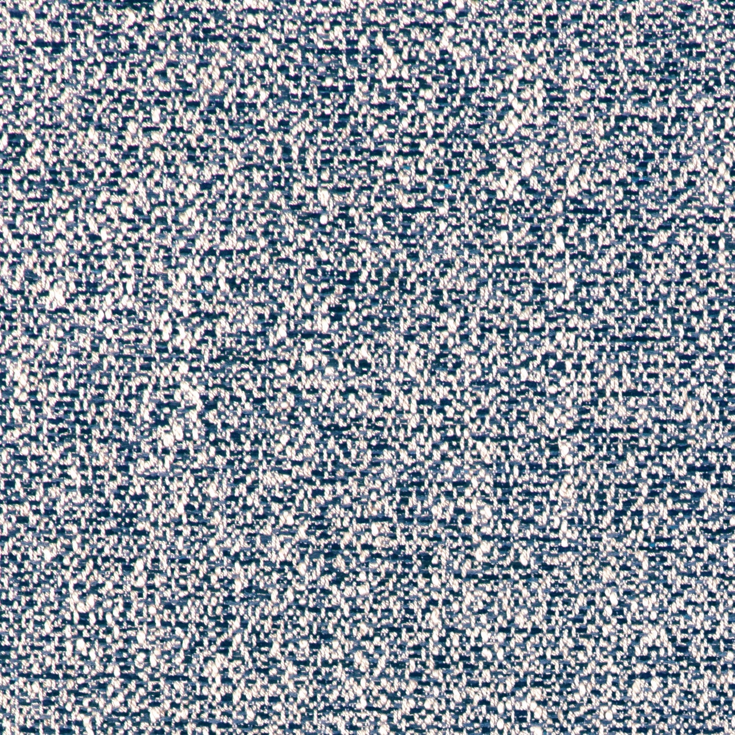 Carlo (Kc) - 51 Blue