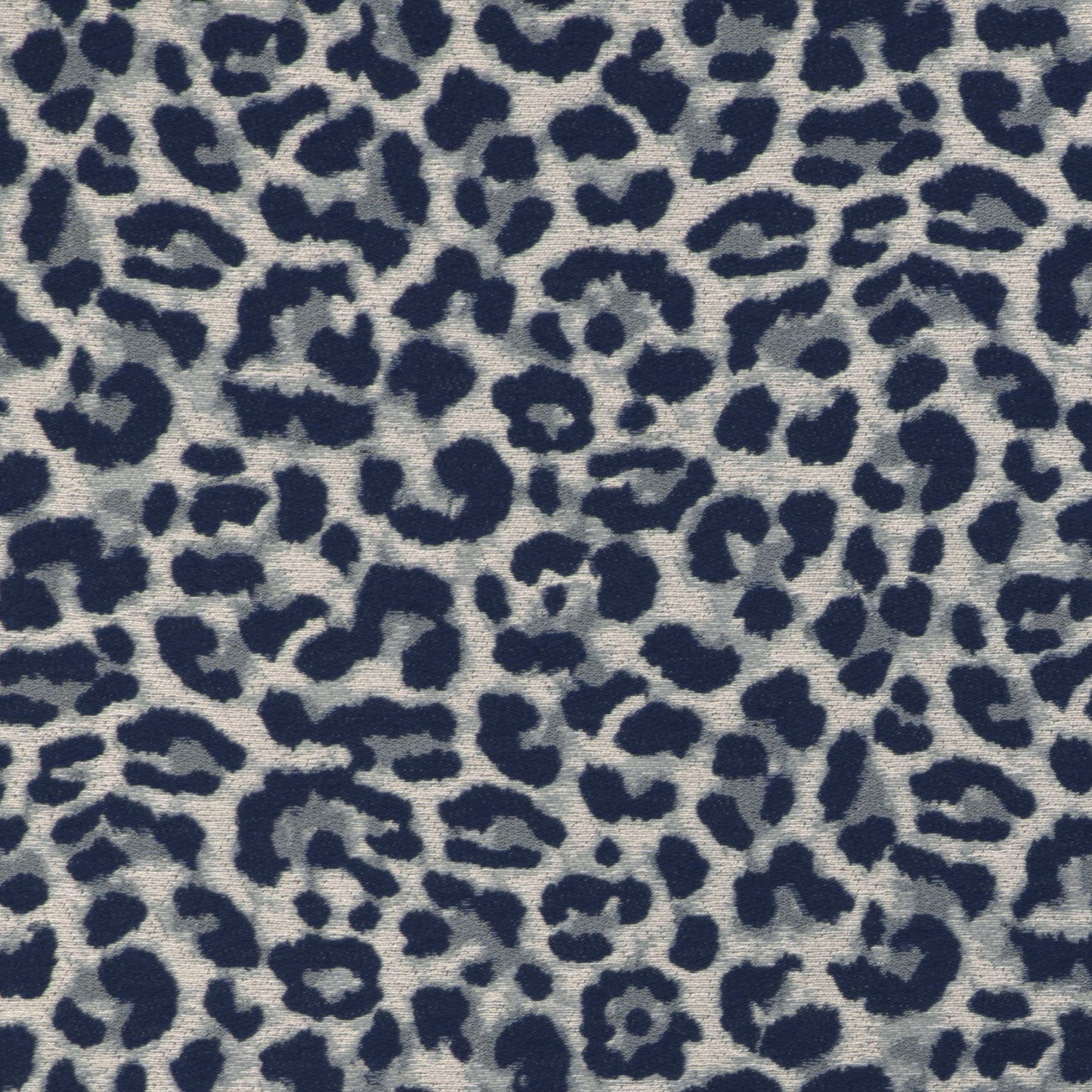 Chatoyer (Kc) - 5 Blue