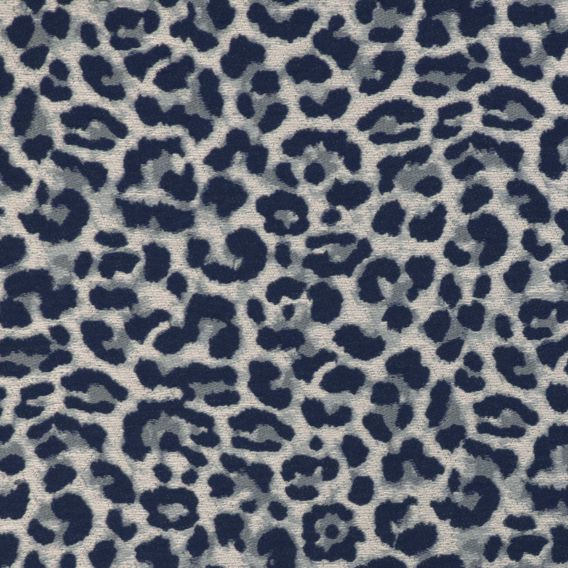 Chatoyer (Kc) - 5 Blue
